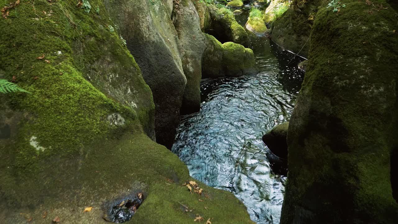 A mossy riverbed