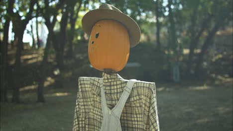 pumpkin scarecrow at halloween pumpkin patch