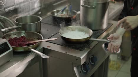 chef in a restaurant preparing food in the kitchen