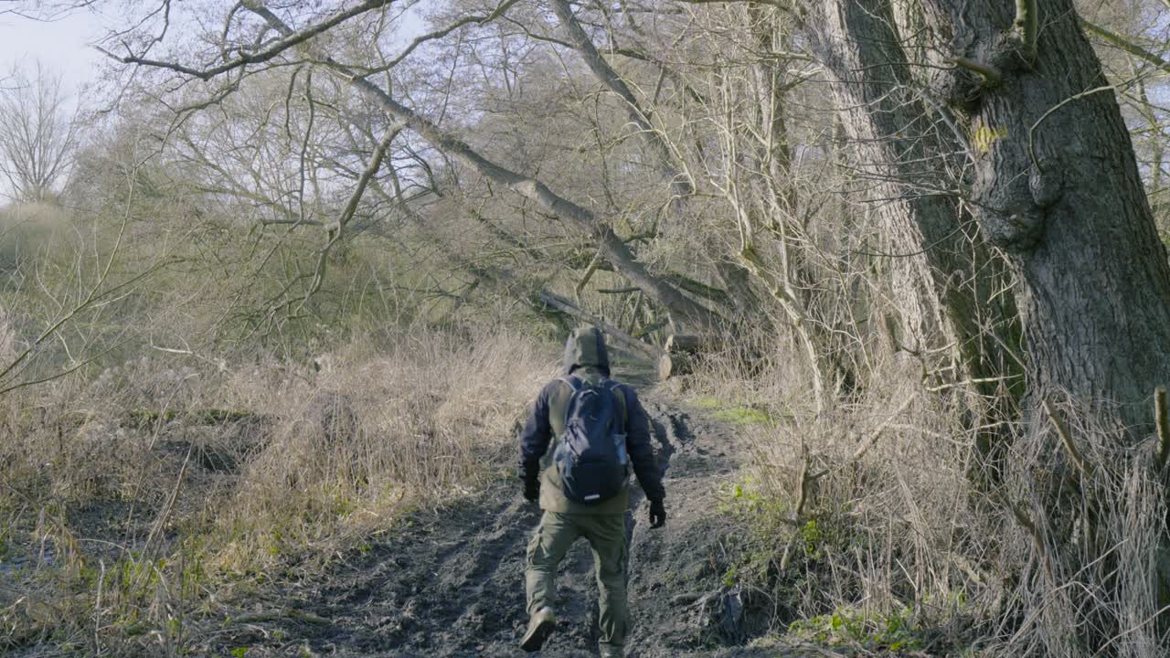 Statisk skud af mandlig vandrer, der går væk ad en grusvej gennem Thetford-skoven, Norfolk, Storbritannien på en klar solskinsdag