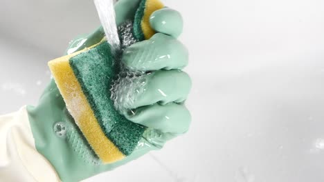 washing a sponge with gloves