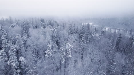 4k aerial video of northern nature