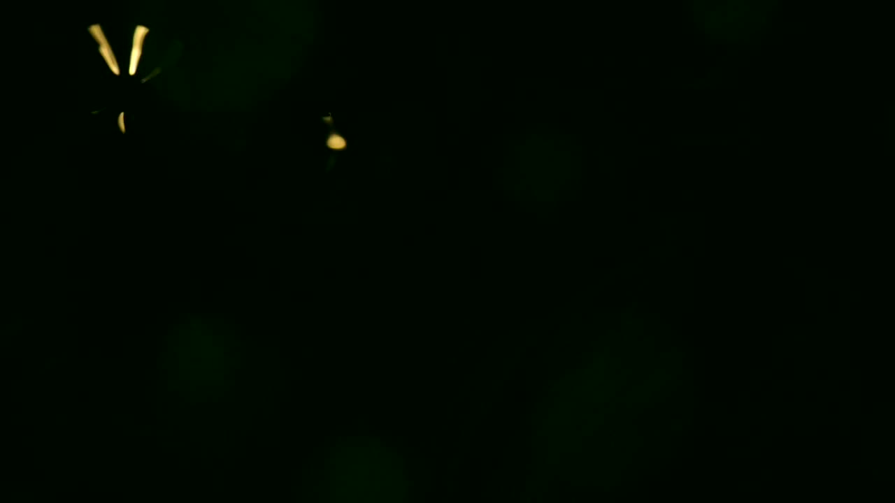 I hope these gold shimmers don't exhaust themselves  -  For more, search  "AbstractVideoClip" using the quotation marks