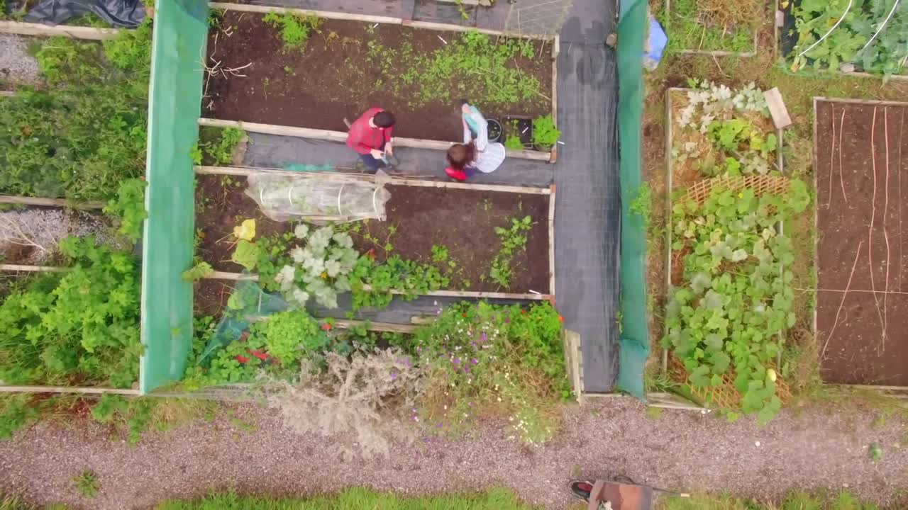 Droneoptagelser af par, der laver havearbejde