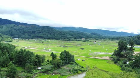 aerial view shot of paddy field in arunachal pradesh