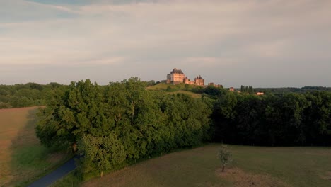 Castillo-De-Biron-Emergiendo-De-Detrás-De-Un-árbol.