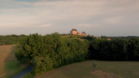 castle of biron emerging from behind a tree