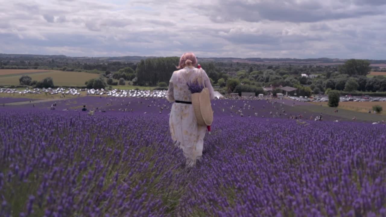 mujer en campos de lavanda 1