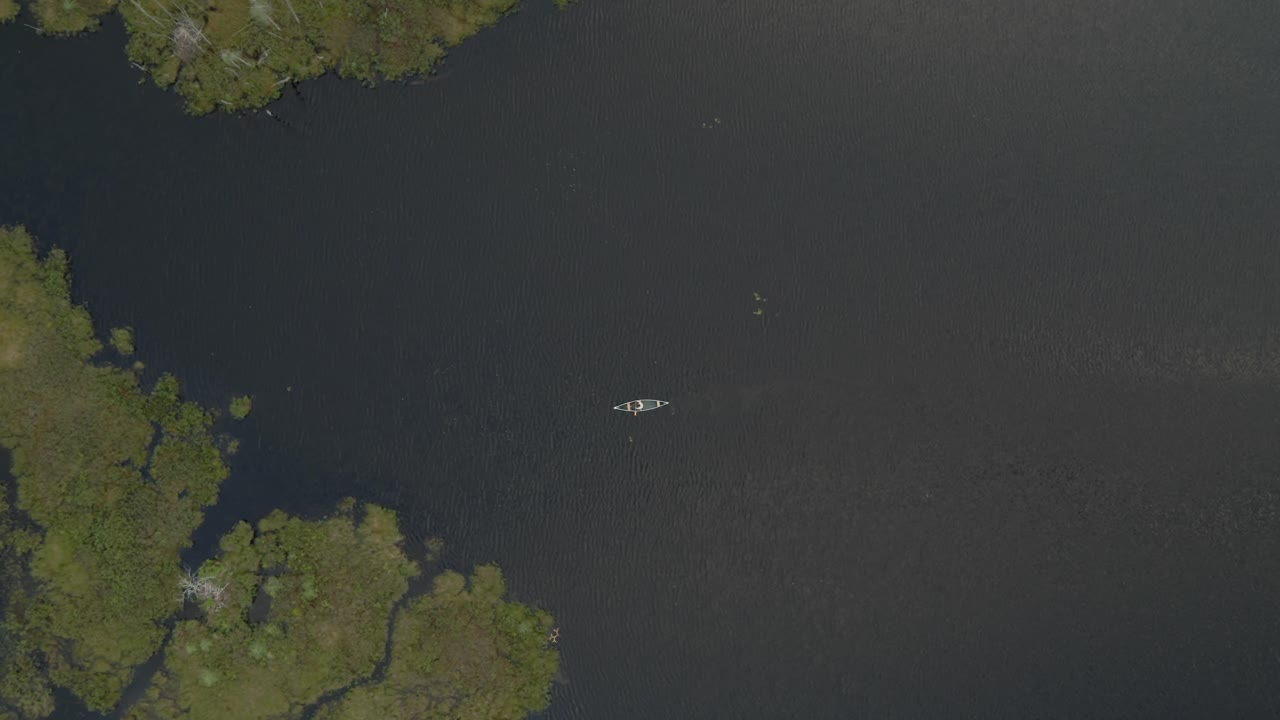 푸른 식물이 떠다니는 광대한 호수에서 혼자 카누를 타는 남자