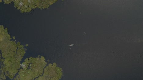 hombre canotaje solo en el vasto lago con plantas verdes flotantes