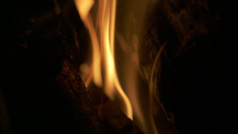 closeup of fire