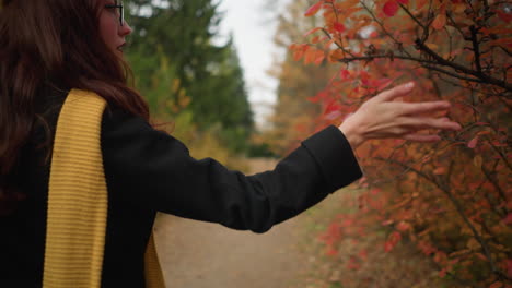 elegant lady in yellow beret and muffler walks along autumn path, delicately touching vibrant red leaves, enjoying nature's beauty and tranquility