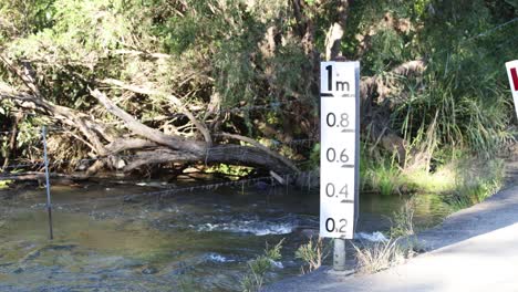 water level gauge in a forest stream