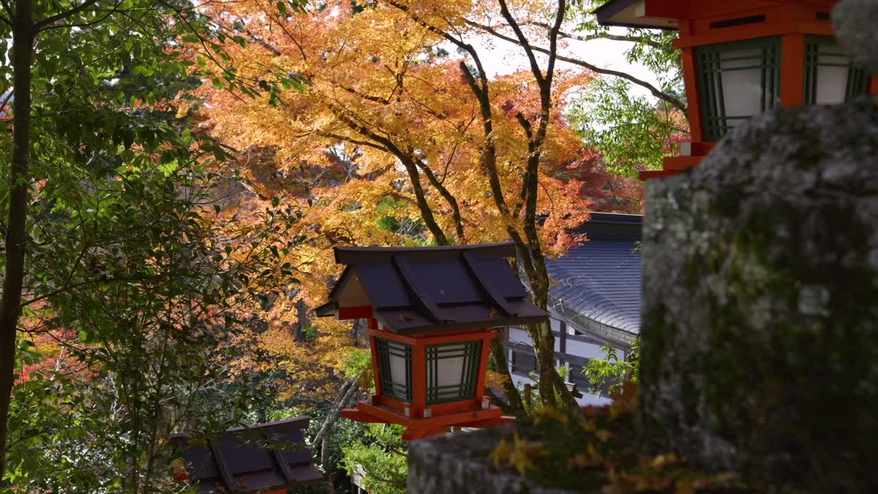 deslizador lateral lento sobre el hermoso paisaje de colores de otoño en japón
