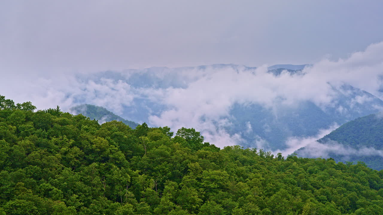 Mist and fog curl through the Smokies in this moody drone shot