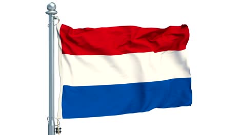 netherlands flag waving on white background, animation. 3d rendering