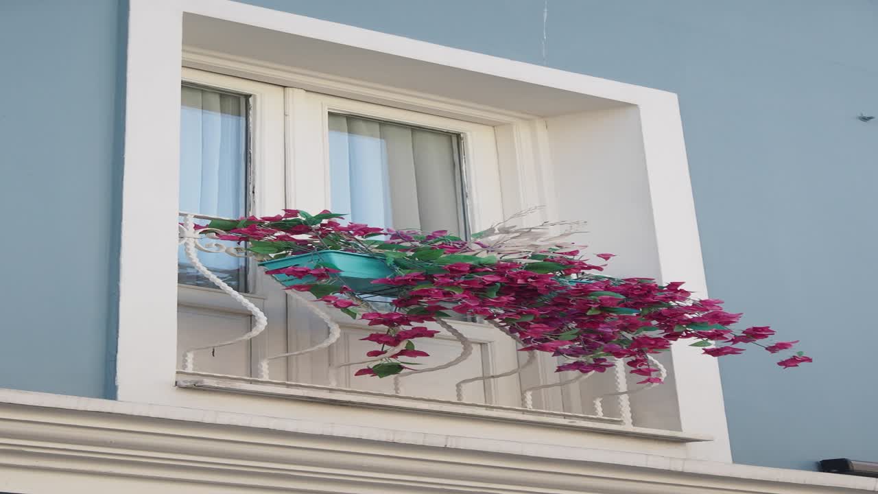 flores ornamentales en una ventana