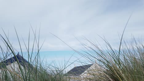 View-of-sea-from-Sand-dune-grasses-over-beach-hut-roofs-Southwold