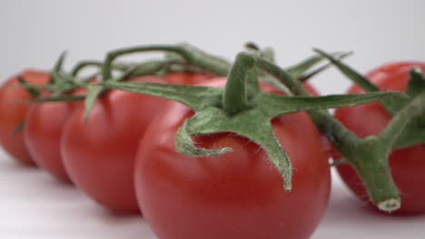 tomates rojos vivos en la vid en vista macro
