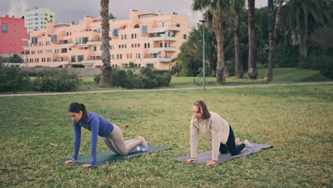 strong athletes practicing yoga at glade. flexible women enjoying asana pose