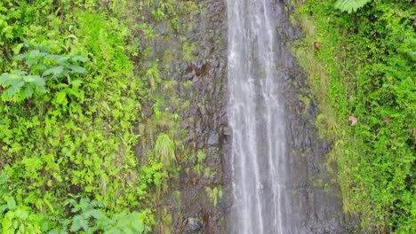 drone-footage-of-Maoa-Falls-on-the-island-of-Oahu-Hawaii-near-Waikiki-The-tall-waterfall-runs-down-the-rock-face-through-the-rainforest-starting-from-the-brink-tilting-down-to-the-plungepool