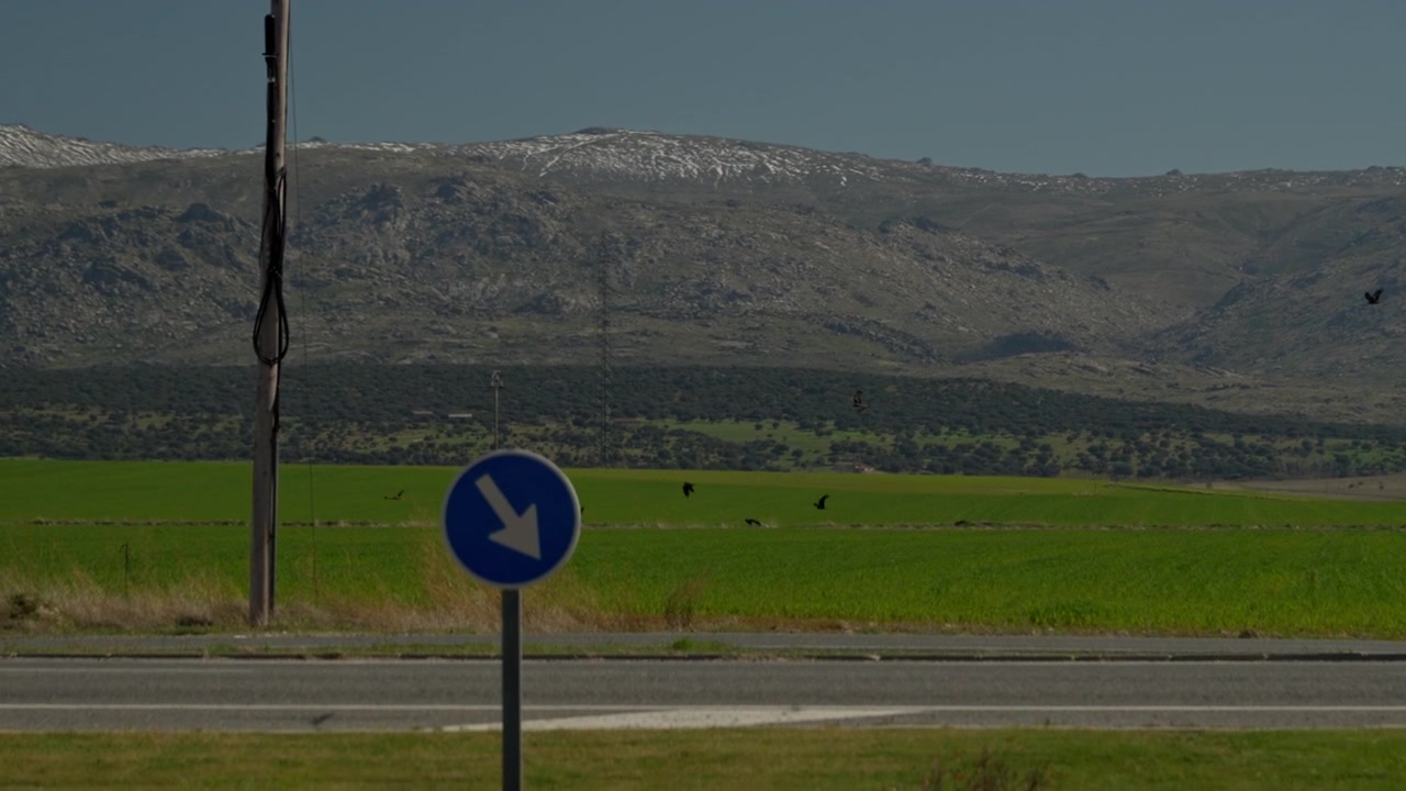 Blue road sign with a white arrow directing down left, located beside a rural road, green fields, and mountains with snow