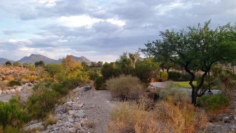 senderos de verano y caminata matutina en los suburbios del oeste de las vegas nevada