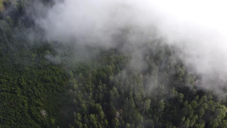 mist fog clouds from above aerial view over