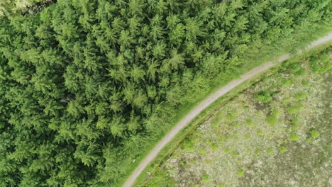 Vogelperspektive-Auf-Den-Glencree-Wald-Mit-Plätscherndem-Bach-Und-Ruhigem-Bergpfad