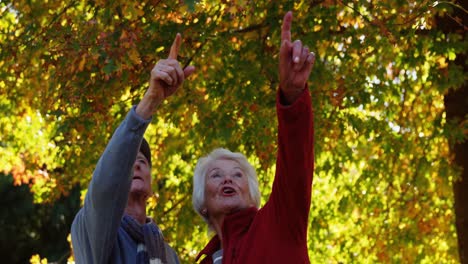 elderly couple pointing