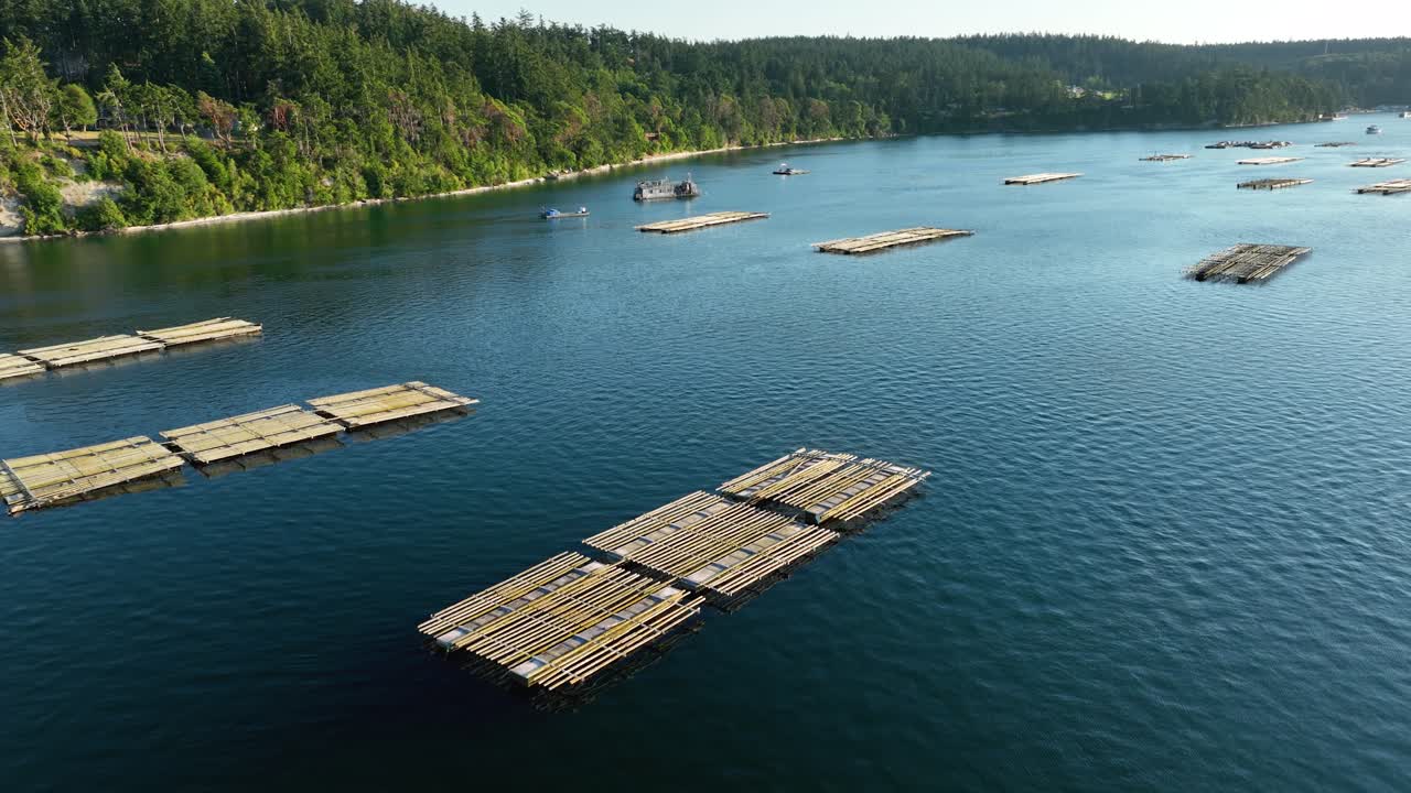 toma de drones de granjas de mejillones en penn cove en whidbey island