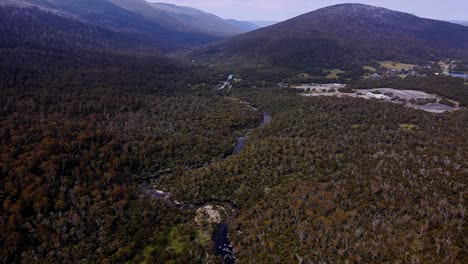 Río-Nevado-Y-Denso-Matorral-En-El-Parque-Nacional-Kosciuszko,-Nueva-Gales-Del-Sur,-Australia