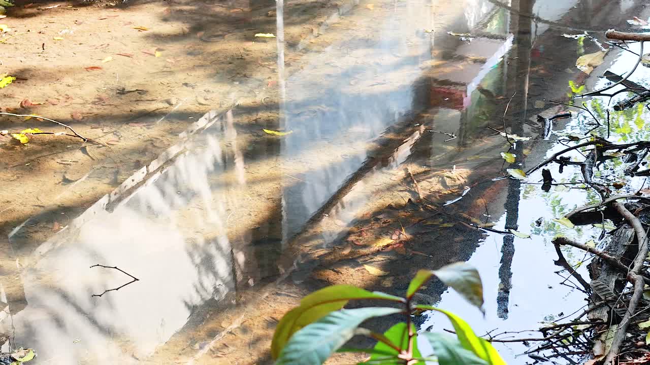 Foglie e riflessi sull'acqua al mercato di Bangkok
