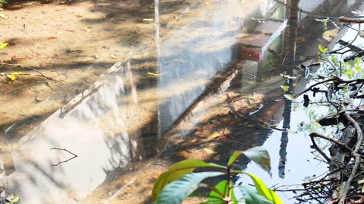Foglie e riflessi sull'acqua al mercato di Bangkok