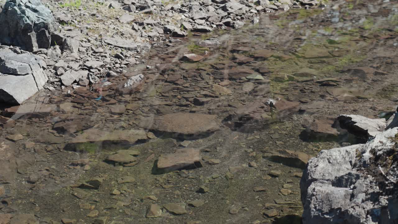 산 정상에 고산 아직도 연못 - 맥켄지 범위, 밴쿠버 섬, bc, 캐나다