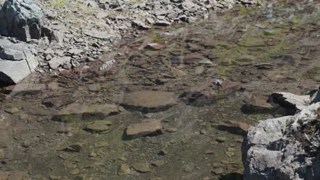 alpine still pond on a mountain summit - mackenzie range, vancouver island, bc, canada