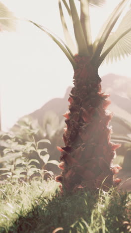 primer plano de un tronco de palma en un exuberante bosque tropical