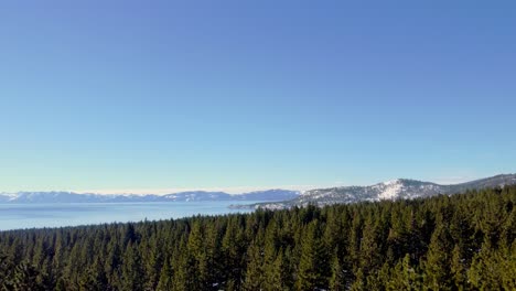 Aerial-drone-shot,-ascending-over-pine-trees-and-revealing-the-crystal-clear-lake-and-the-mountains-on-the-horizon-in-Lake-Tahoe,-Nevada-California