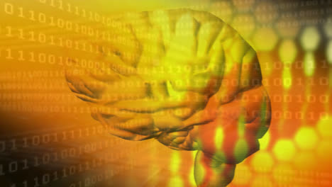 compuesto digital de un cerebro humano y el sistema binario