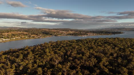 magical tamar river and forest in tasmania island, australia at sunset