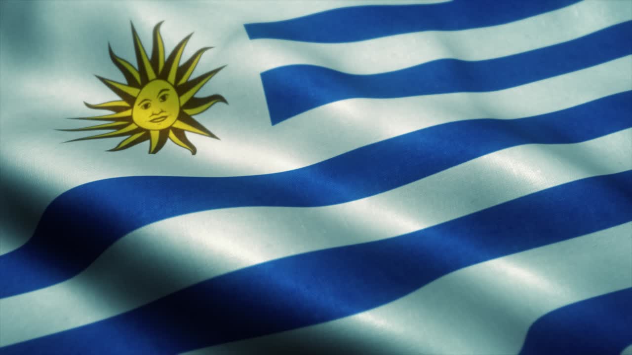 바람에 흔들리는 우루과이 발, 우루와이의 국기, 우루가이의 표지, 시엄리스 루프 애니메이션