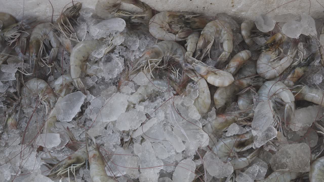 신선한 새우는 다른 각도에서 낮에 판매 할 소매점에서 눈 상자에 보관됩니다.