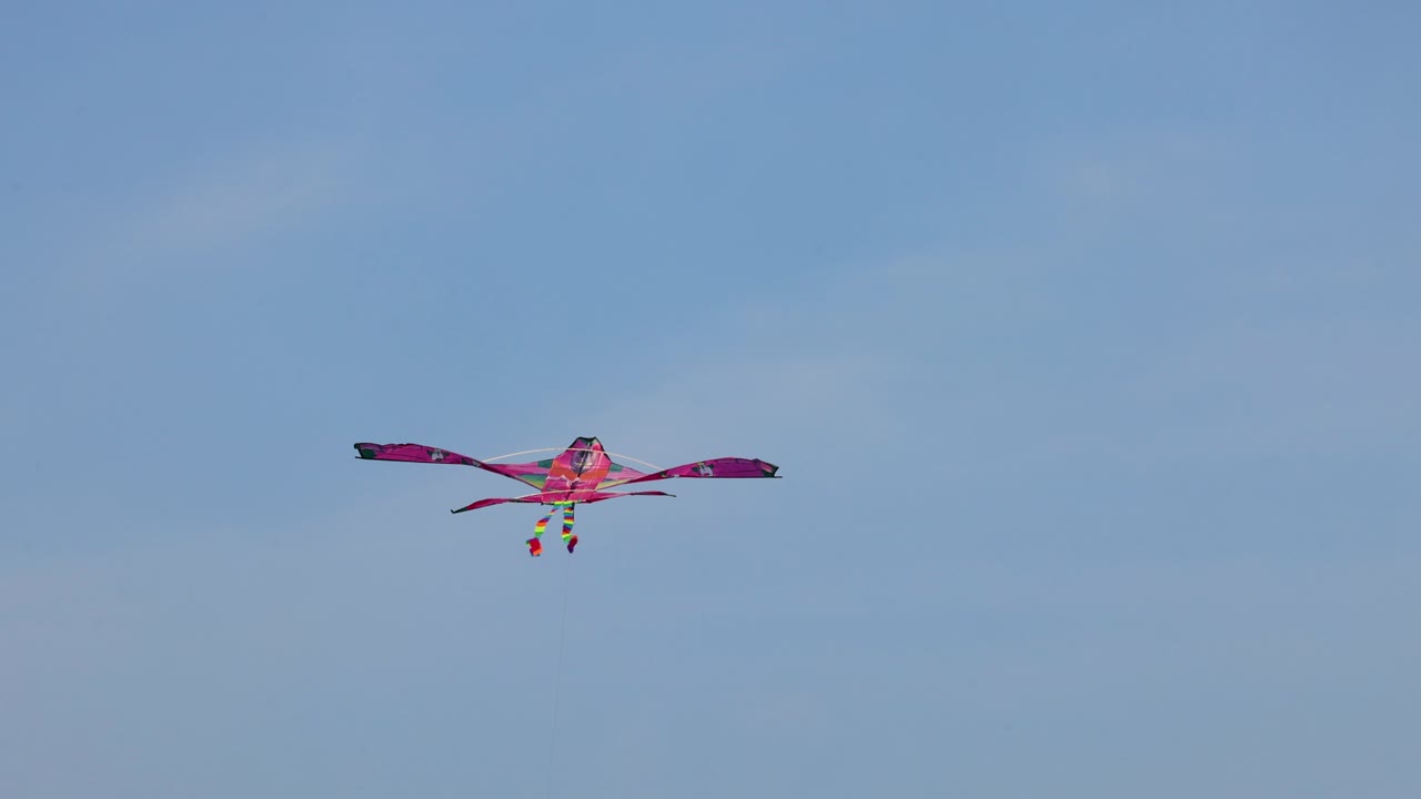 은 하늘을 향해 꾸준히 날아다니는 kite.