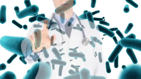 el médico toca la pantalla invisible contra las células de bacterias 4k