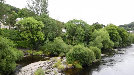 river flowing through lush greenery and buildings