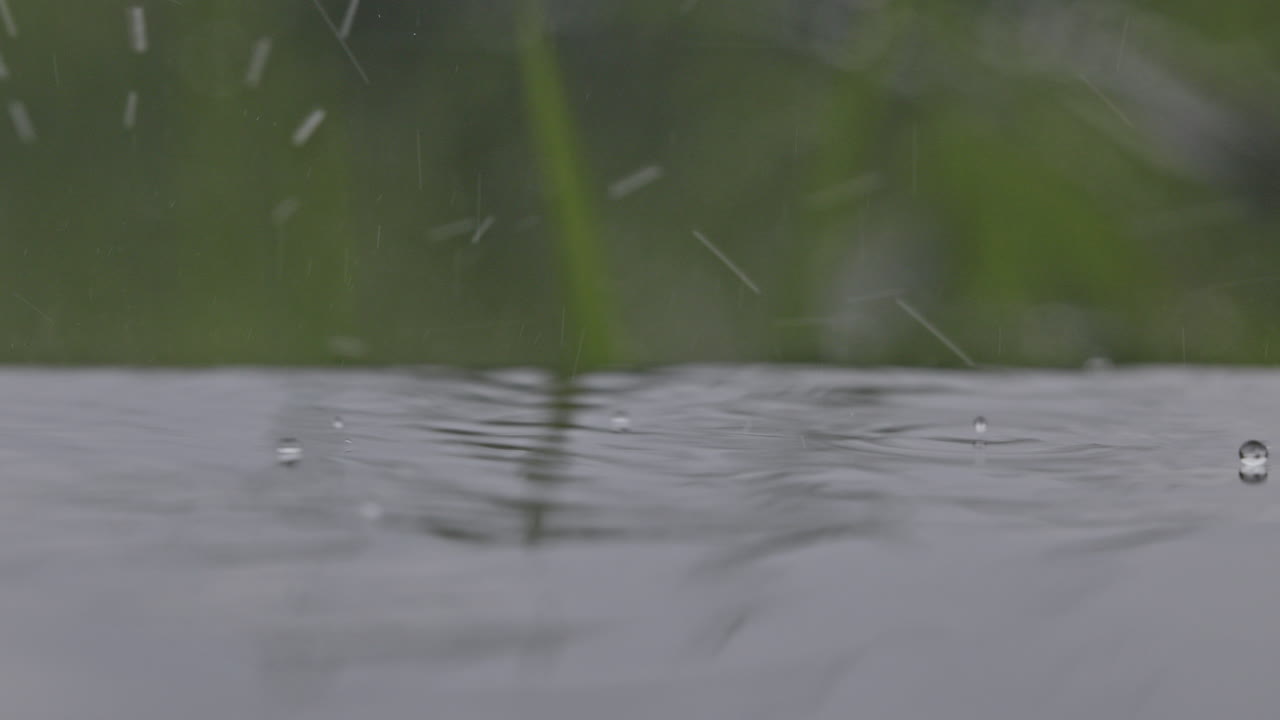 дождь на водной поверхности