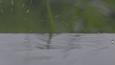 chuva numa superfície de água