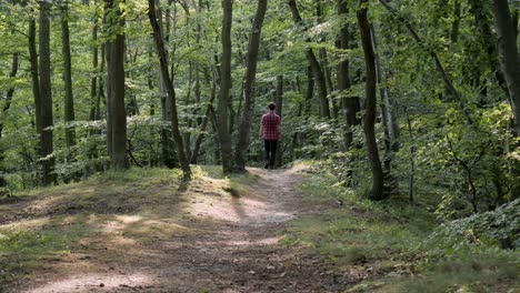 rear view on young man taking walk in forest for digital detox and relaxation