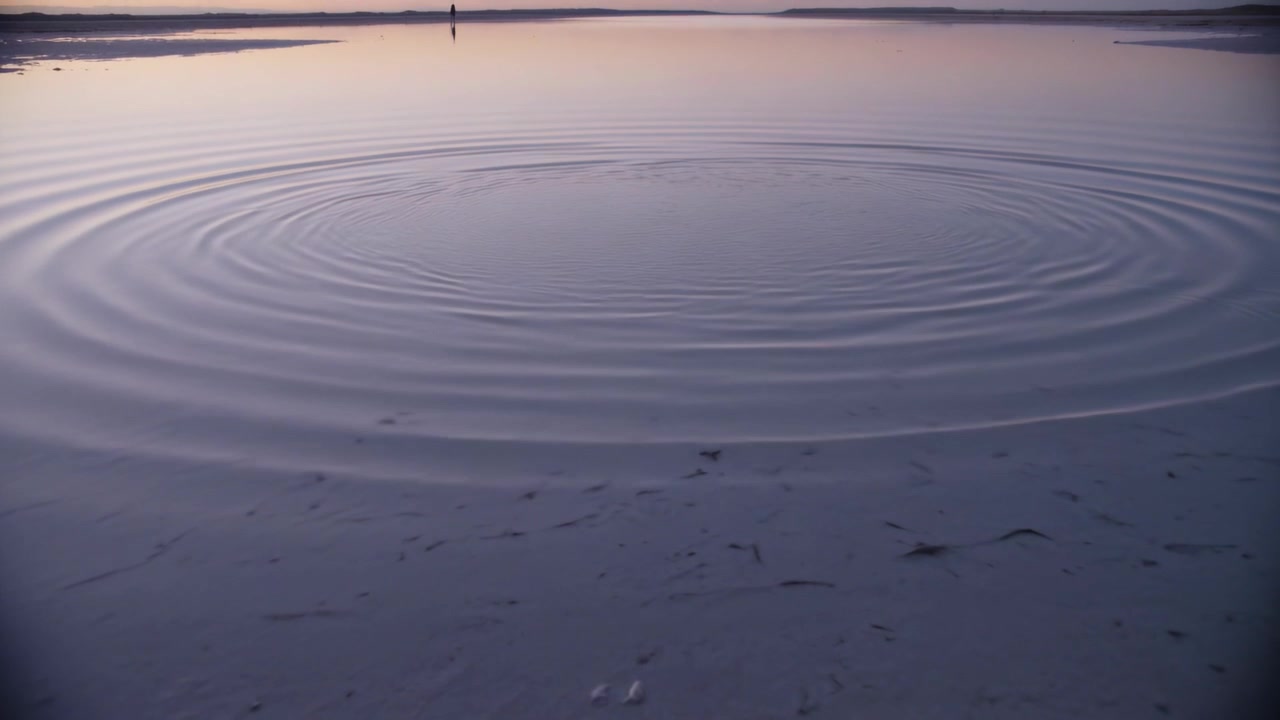 Anelli concentrici che si increspano da un impatto circolare, muovendosi verso l'esterno lungo la riva sabbiosa all'alba, con un palo.