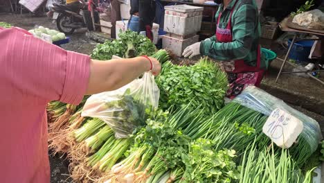 cliente comprando verduras a un vendedor del mercado